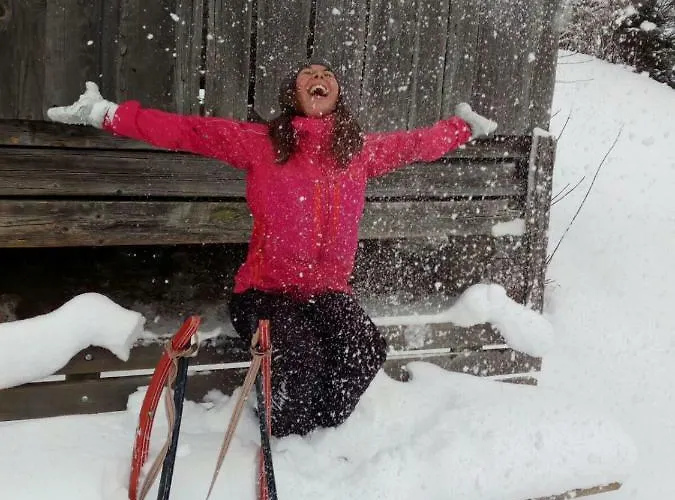 Landhaus Stocker Apartment Pruggern